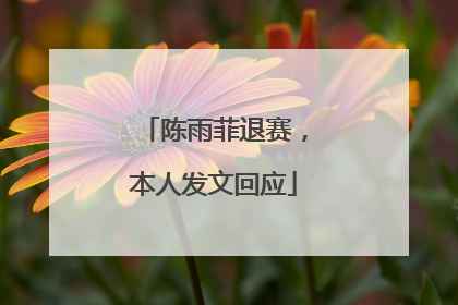 陈雨菲退赛，本人发文回应
