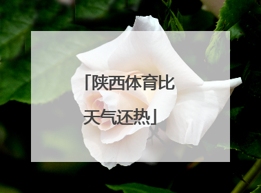 陕西体育比天气还热
