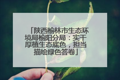 陕西榆林市生态环境局榆阳分局：实干厚植生态底色，担当描绘绿色答卷