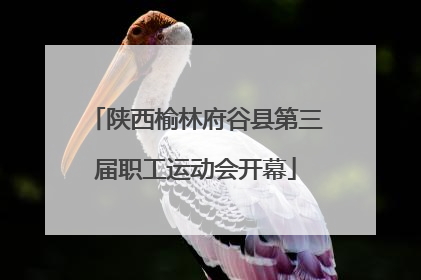 陕西榆林府谷县第三届职工运动会开幕