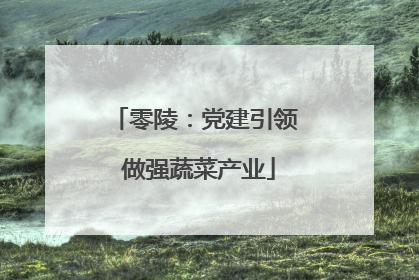 零陵：党建引领 做强蔬菜产业