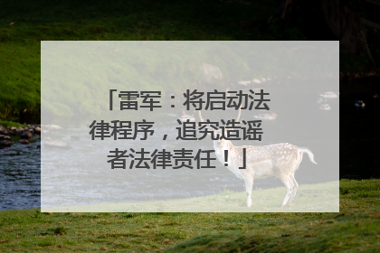 雷军：将启动法律程序，追究造谣者法律责任！