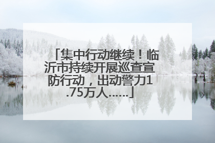集中行动继续！临沂市持续开展巡查宣防行动，出动警力1.75万人……