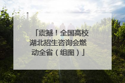 震撼！全国高校湖北招生咨询会燃动全省（组图）