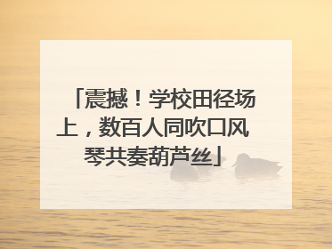 震撼！学校田径场上，数百人同吹口风琴共奏葫芦丝