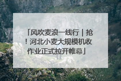 风吹麦浪一线行｜抢！河北小麦大规模机收作业正式拉开帷幕