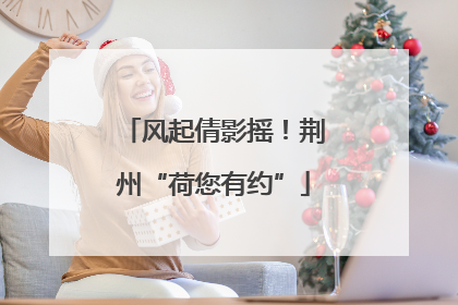 风起倩影摇！荆州“荷您有约”