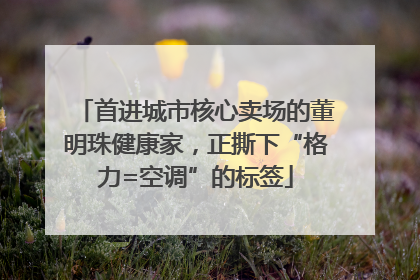 首进城市核心卖场的董明珠健康家，正撕下“格力=空调”的标签
