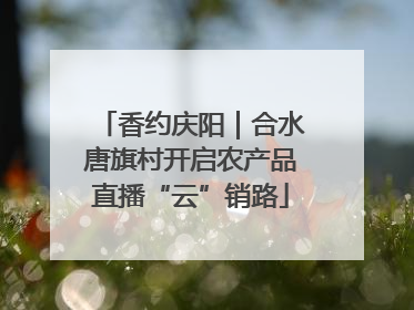 香约庆阳｜合水唐旗村开启农产品直播“云”销路