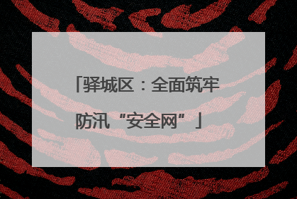 驿城区：全面筑牢防汛“安全网”
