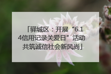 驿城区：开展“6.14信用记录关爱日”活动 共筑诚信社会新风尚