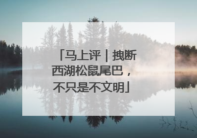 马上评｜拽断西湖松鼠尾巴，不只是不文明