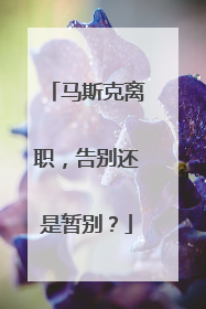 马斯克离职，告别还是暂别？