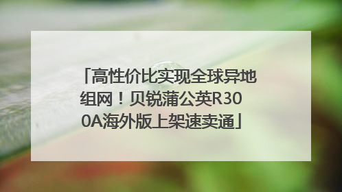 高性价比实现全球异地组网！贝锐蒲公英R300A海外版上架速卖通