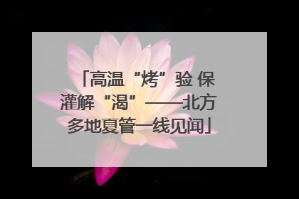 高温“烤”验 保灌解“渴”——北方多地夏管一线见闻