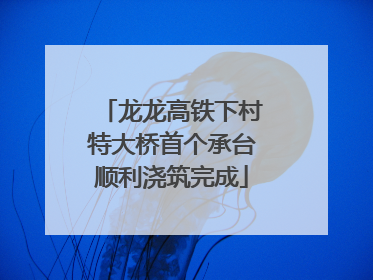 龙龙高铁下村特大桥首个承台顺利浇筑完成