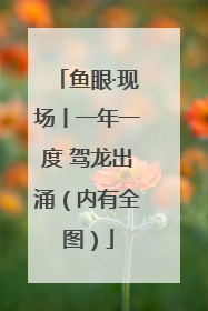 鱼眼·现场丨一年一度 驾龙出涌（内有全图）