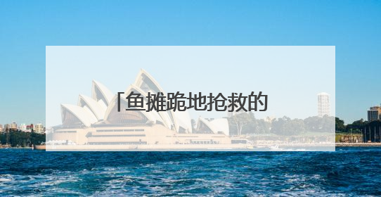 鱼摊跪地抢救的药师吴梅梅获“见义勇为”表彰