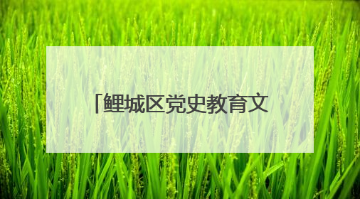鲤城区党史教育文化街区正式揭牌
