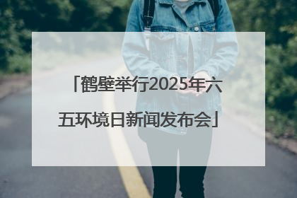 鹤壁举行2025年六五环境日新闻发布会