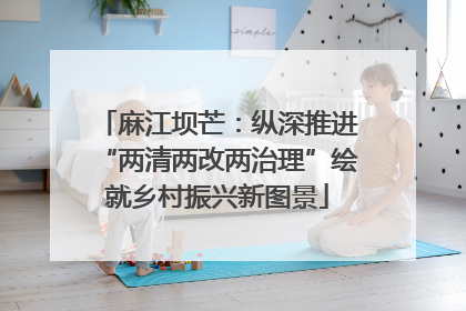 麻江坝芒：纵深推进“两清两改两治理”绘就乡村振兴新图景
