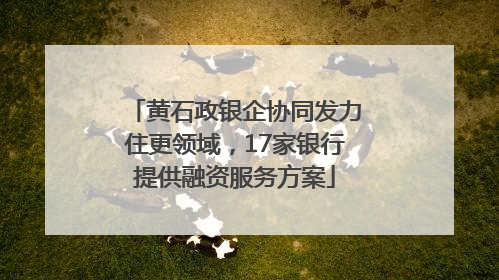 黄石政银企协同发力住更领域，17家银行提供融资服务方案
