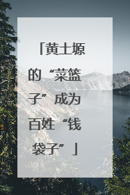 黄土塬的“菜篮子”成为百姓“钱袋子”