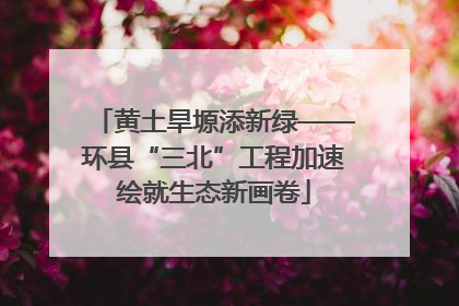 黄土旱塬添新绿——环县“三北”工程加速绘就生态新画卷