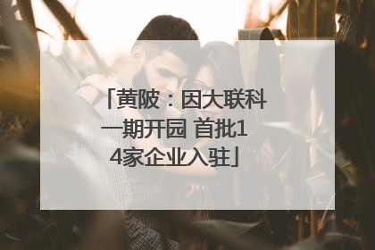 黄陂：因大联科一期开园 首批14家企业入驻