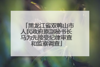 黑龙江省双鸭山市人民政府原副秘书长马为先接受纪律审查和监察调查