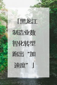 黑龙江制造业数智化转型跑出“加速度”