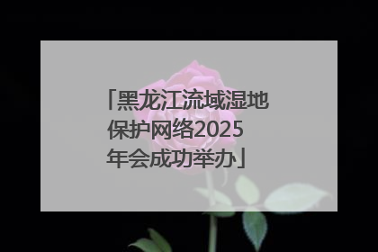 黑龙江流域湿地保护网络2025年会成功举办