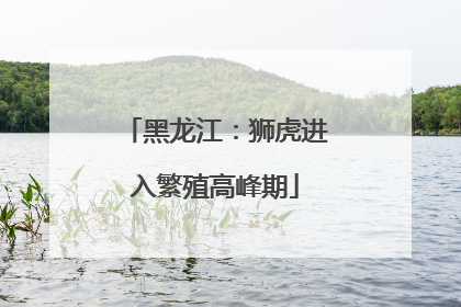 黑龙江：狮虎进入繁殖高峰期