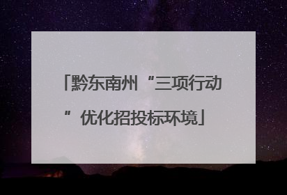 黔东南州“三项行动”优化招投标环境