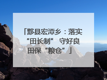 黟县宏潭乡：落实“田长制” 守好良田保“粮仓”