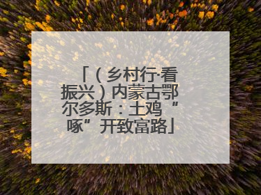 （乡村行·看振兴）内蒙古鄂尔多斯：土鸡“啄”开致富路