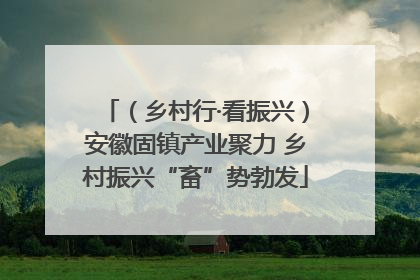 （乡村行·看振兴）安徽固镇产业聚力 乡村振兴“畜”势勃发