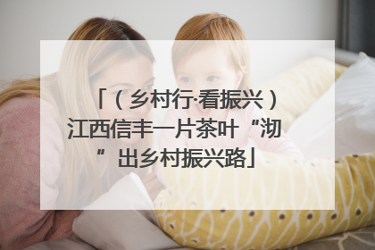（乡村行·看振兴）江西信丰一片茶叶“沏”出乡村振兴路