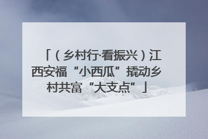 （乡村行·看振兴）江西安福“小西瓜”撬动乡村共富“大支点”