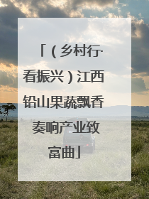（乡村行·看振兴）江西铅山果蔬飘香 奏响产业致富曲