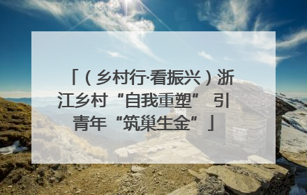 （乡村行·看振兴）浙江乡村“自我重塑” 引青年“筑巢生金”