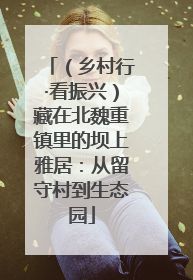 （乡村行·看振兴）藏在北魏重镇里的坝上雅居：从留守村到生态园