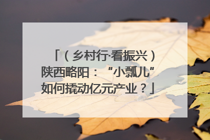 （乡村行·看振兴）陕西略阳：“小瓢儿”如何撬动亿元产业？