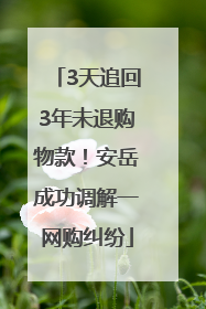 3天追回3年未退购物款！安岳成功调解一网购纠纷