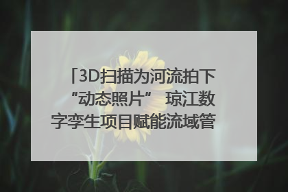 3D扫描为河流拍下“动态照片” 琼江数字孪生项目赋能流域管理｜新闻发布最前线
