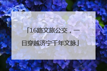 16路文旅公交，一日穿越济宁千年文脉
