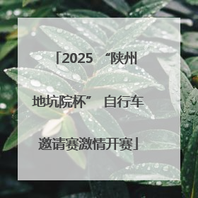 2025 “陕州地坑院杯” 自行车邀请赛激情开赛