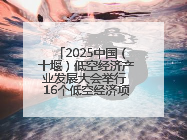 2025中国（十堰）低空经济产业发展大会举行 16个低空经济项目落户车城