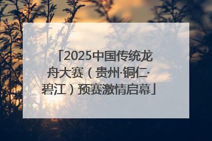 2025中国传统龙舟大赛（贵州·铜仁·碧江）预赛激情启幕