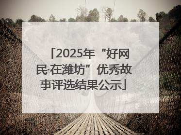 2025年“好网民·在潍坊”优秀故事评选结果公示